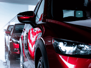 Pinellas County Auto Detailing 13